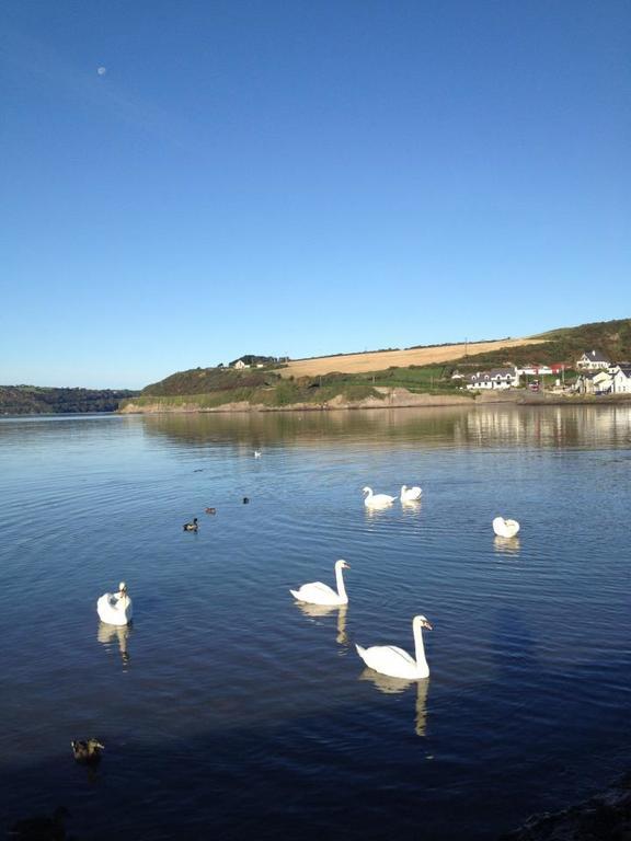 Marsh Mere Lodge Arthurstown Eksteriør billede